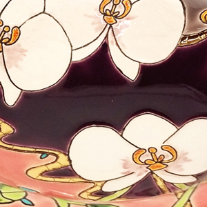 Orchidées