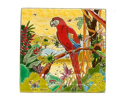 Oiseaux d'Amérique - Standard square bin